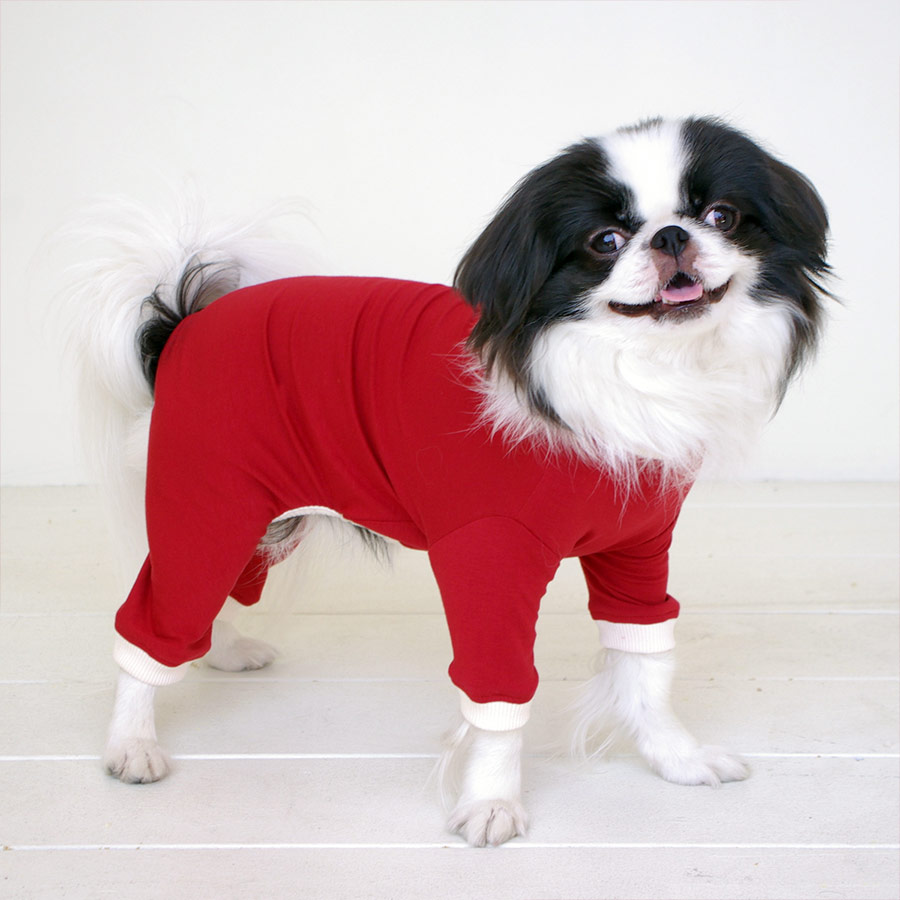 楽天市場】【犬服 皮膚 保護服 術後 エリザベスカラー 足 抜け毛 車