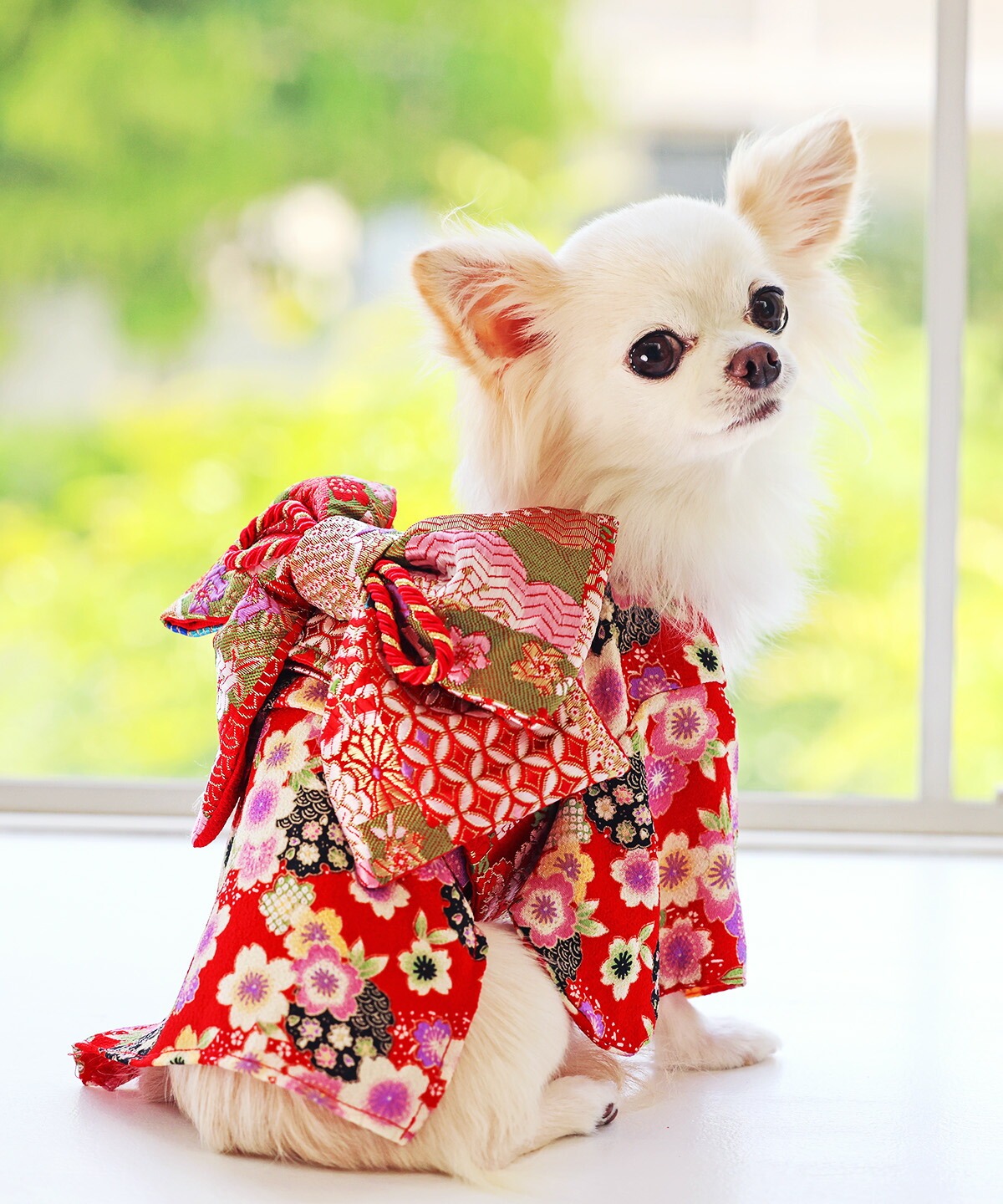 楽天市場】【犬 服 犬着物 お正月 初詣 年賀 犬服 着物 振袖 七五三