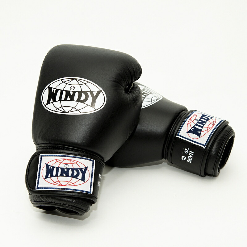 楽天市場】【日本総代理店】ランキング1位獲得 WINDY(ウィンディ) BGVH