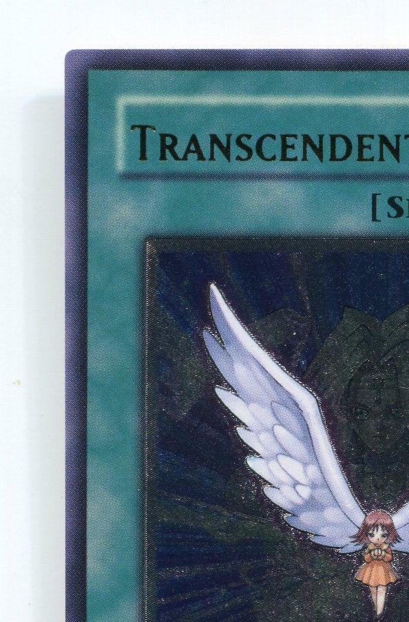楽天市場】旧アジア版 進化する翼 TRANSCENDENT WINGS CRV-AE045
