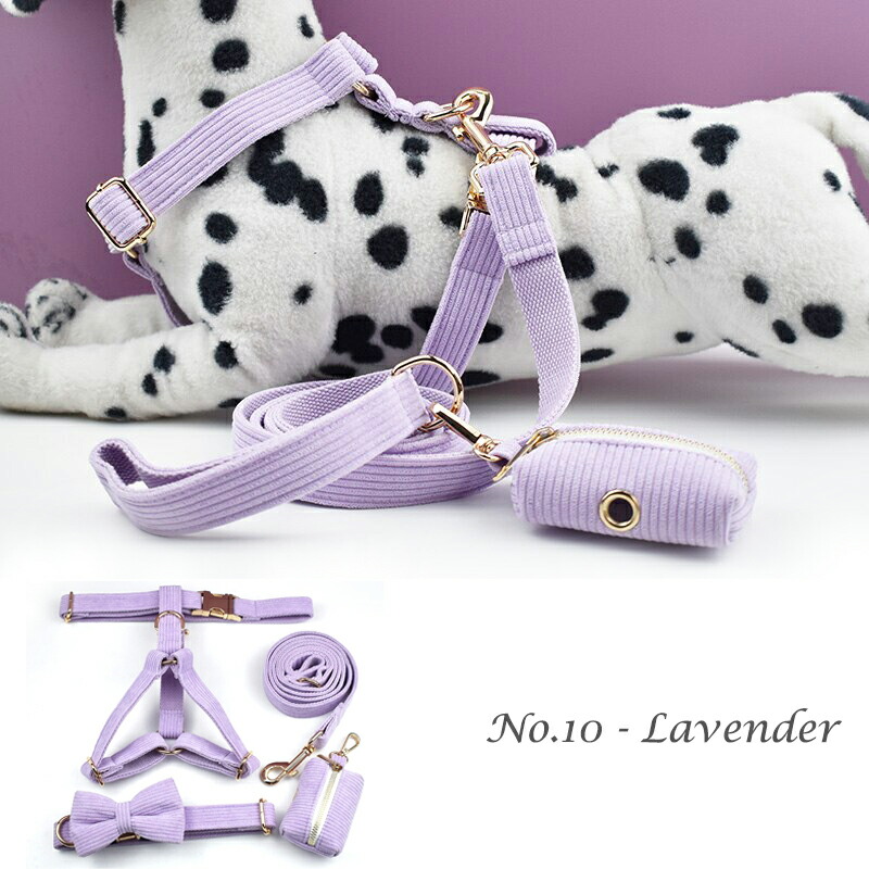 オーダー名前XSグリーン ブルー 6点セット犬 首輪リードハーネス