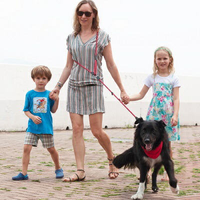 楽天市場】リード 【HIGH 5 DOGS ハンズフリーリーシュ（クリック