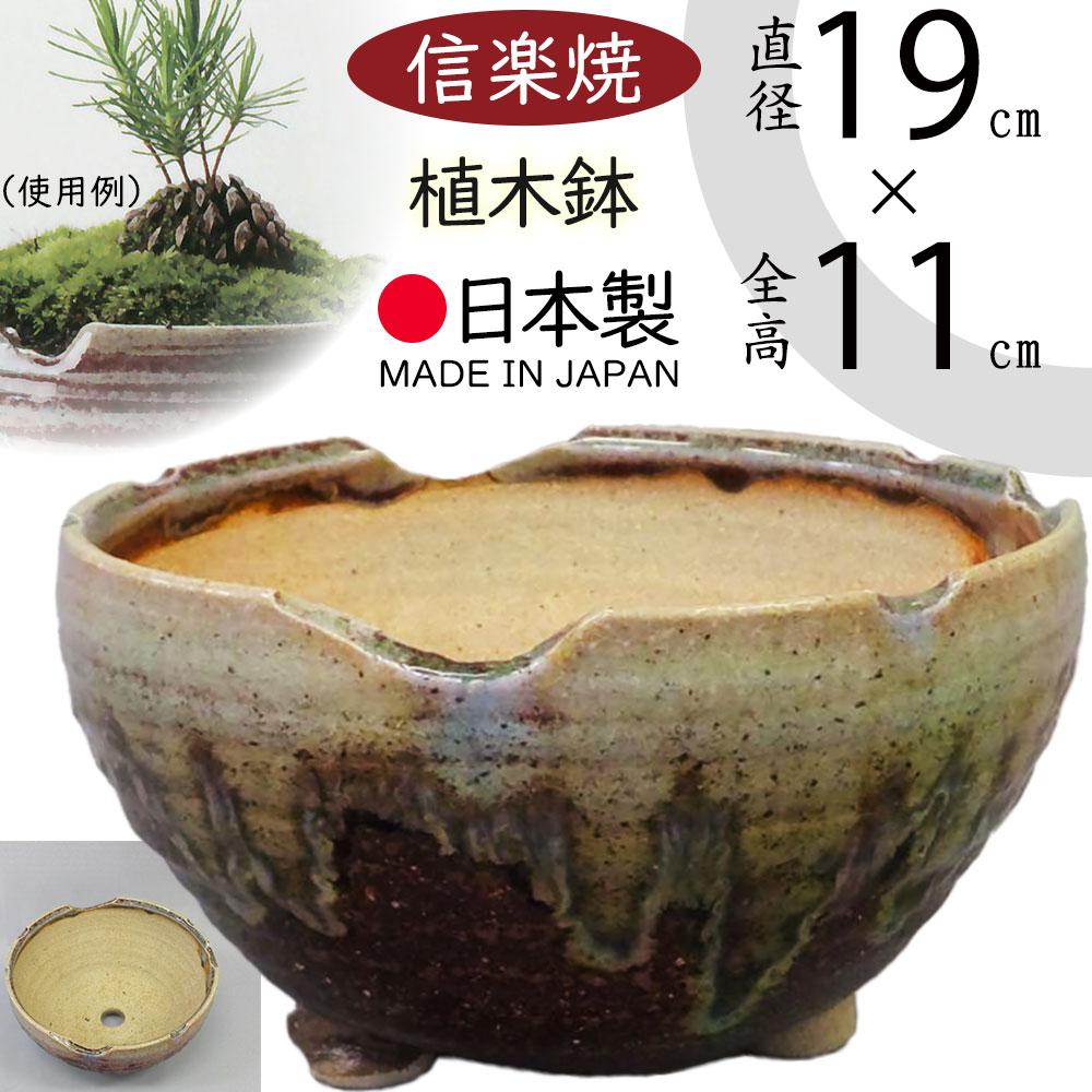 未使用品 信楽焼き 大きな ダックスフント 器 陶器 プランター 鉢 釉薬