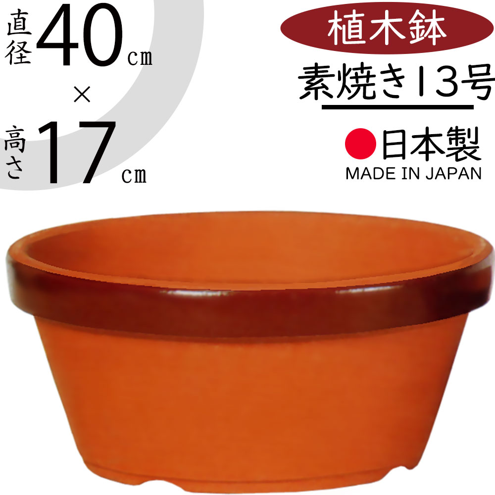 未使用品 信楽焼き 大きな ダックスフント 器 陶器 プランター 鉢 釉薬