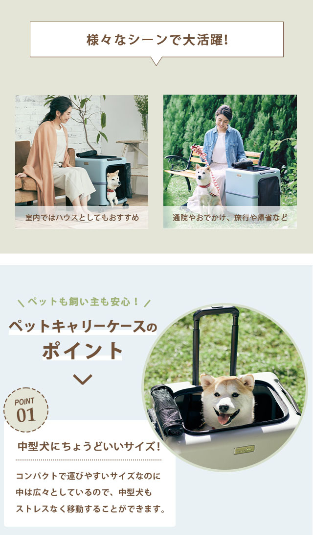 楽天市場】ペットキャリー クッション セット Lサイズ ペットキャリー