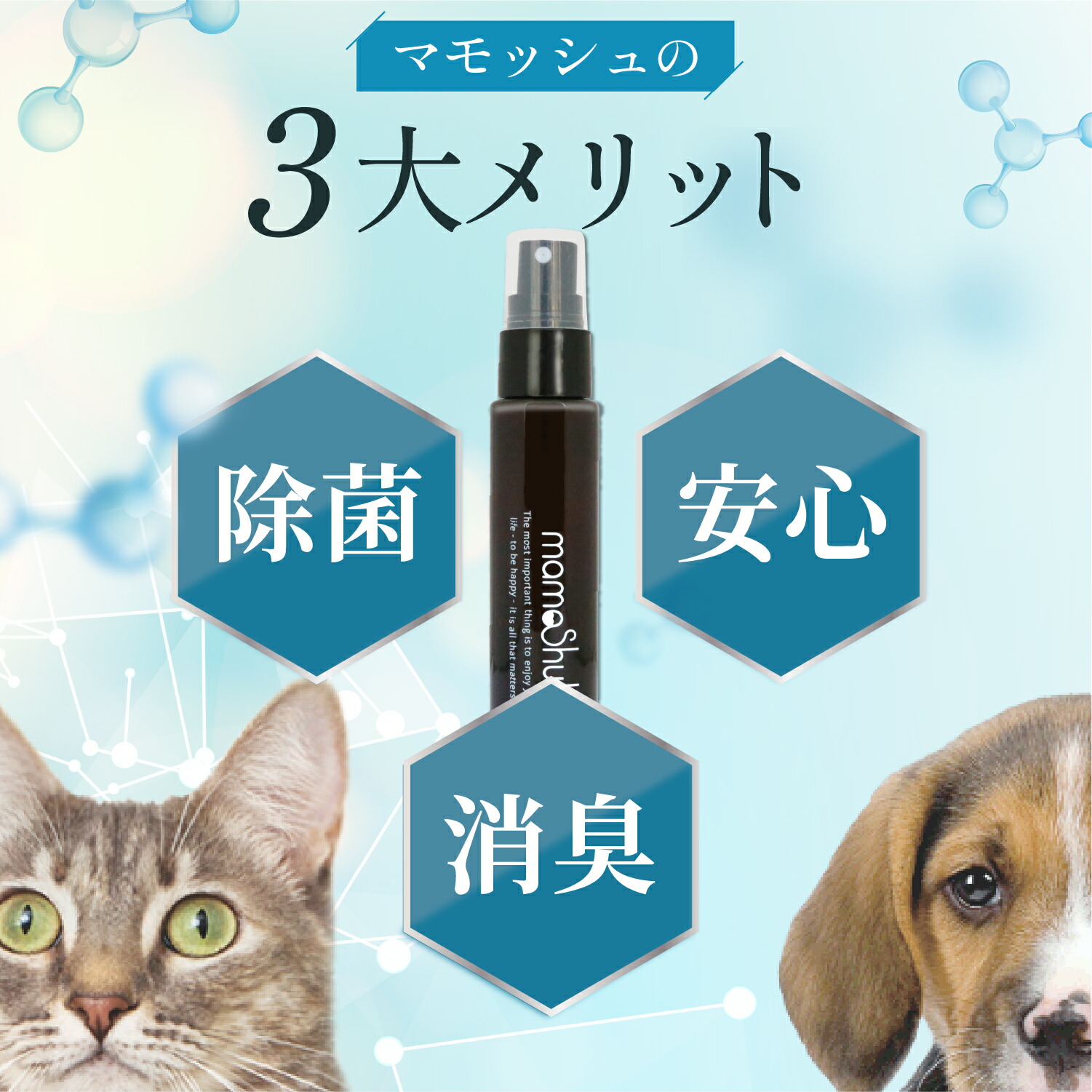 楽天市場】【エントリーでポイント10倍】[獣医師・薬剤師監修] HUGME