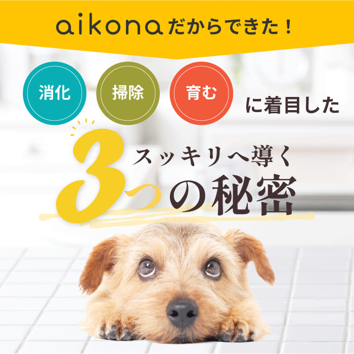 楽天市場】【エントリーでポイント10倍】 aikona あいこな アイコナ