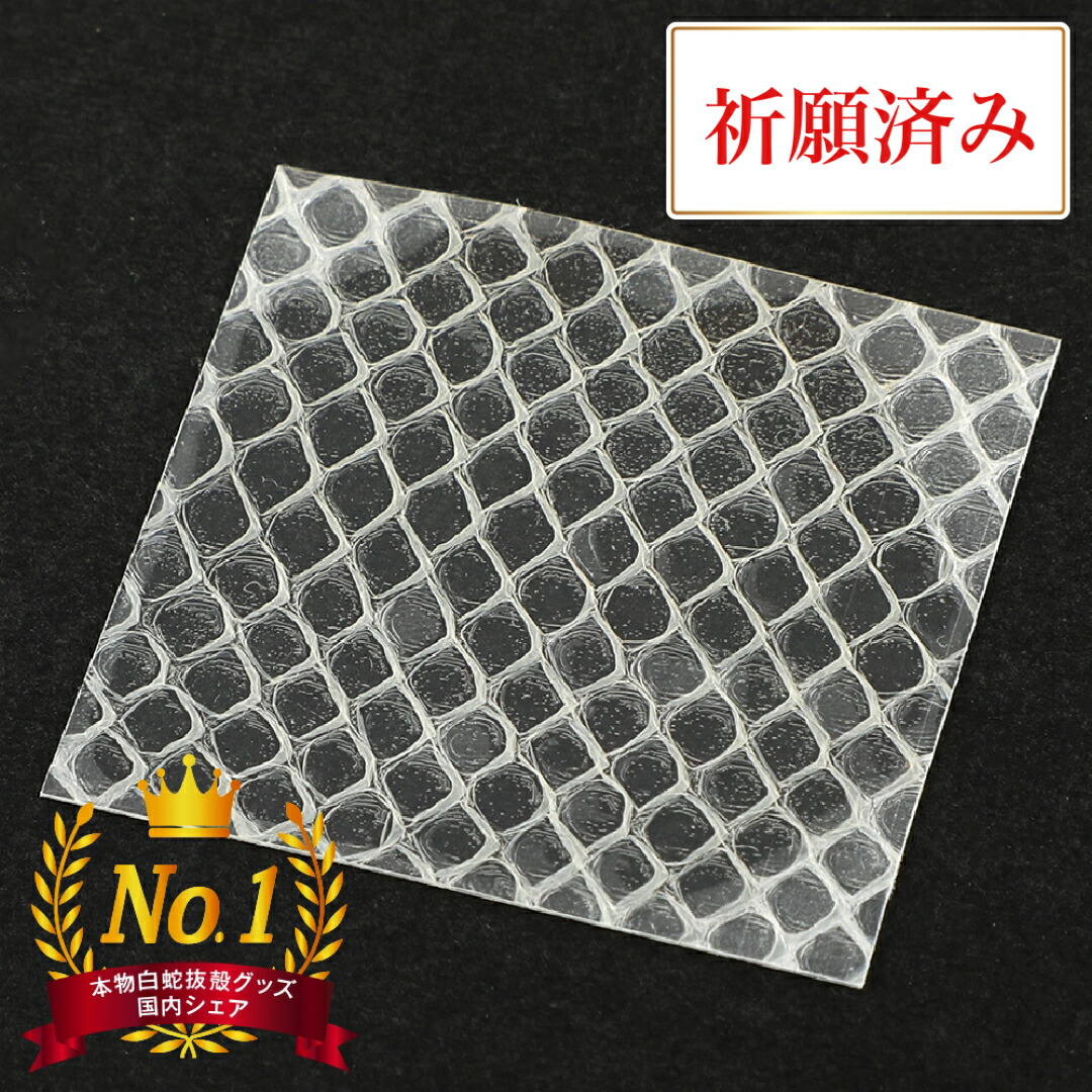 楽天市場】神社祈願 ラミネート加工 白蛇 抜け殻 背中 白ヘビ 祈願済み