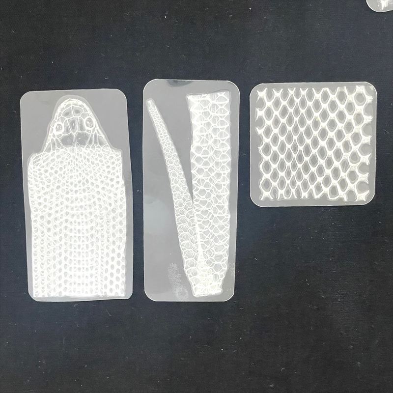 白ヘビの抜け殻まとめ売り 【公式通販】