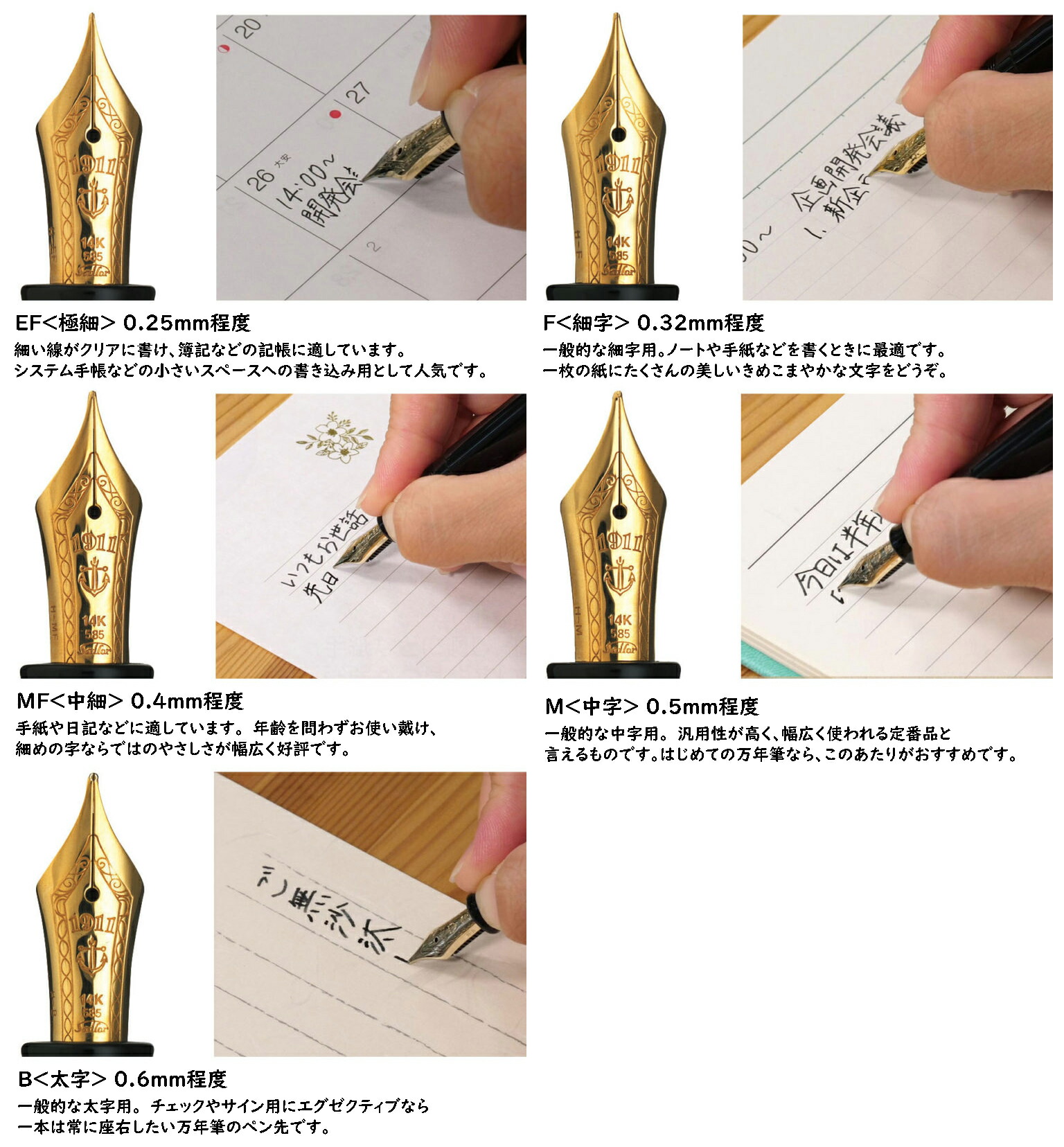 楽天市場】【S194】【WANCHER×SAILOR】特別限定品 ハーモニーシリーズ