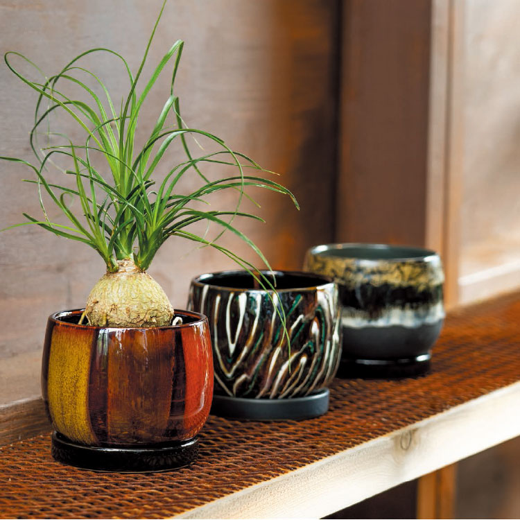 楽天市場】植木鉢 おしゃれ 陶器鉢 ノクターナ ポット GP124-135 4.5号