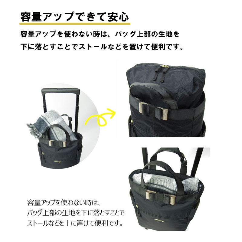 楽天市場】スワニー ルバンドシリーズ キャリーケース D-640 (M18