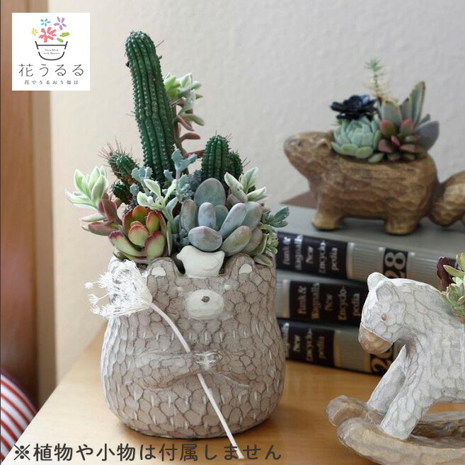くまのプーさん 栽培キット 陶器 置物 ガーデニング インテリア【未