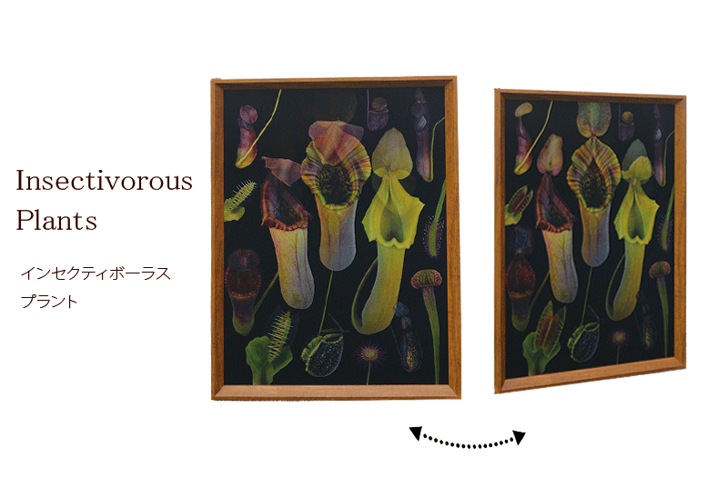 楽天市場】【送料無料】【同梱不可】グリーンアートフレームM 額付き