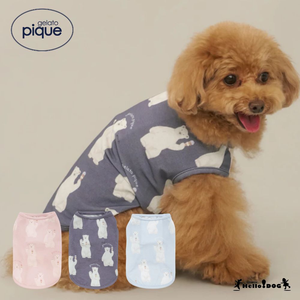 楽天市場】ジェラートピケ gelato pique 接触冷感 シロクマ柄COOLING