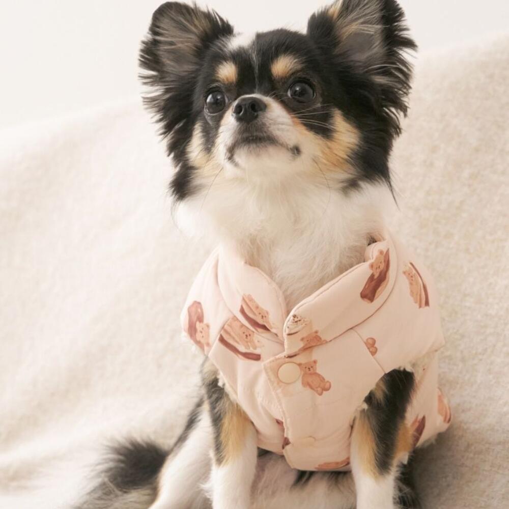 楽天市場】gelato pique 2025 秋冬 新作 中綿ベスト S〜XXLサイズ