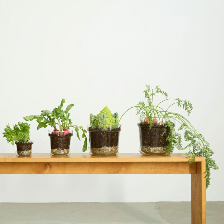 アンバーガラス カット細工コンポート／飾り鉢 アンバーガラス