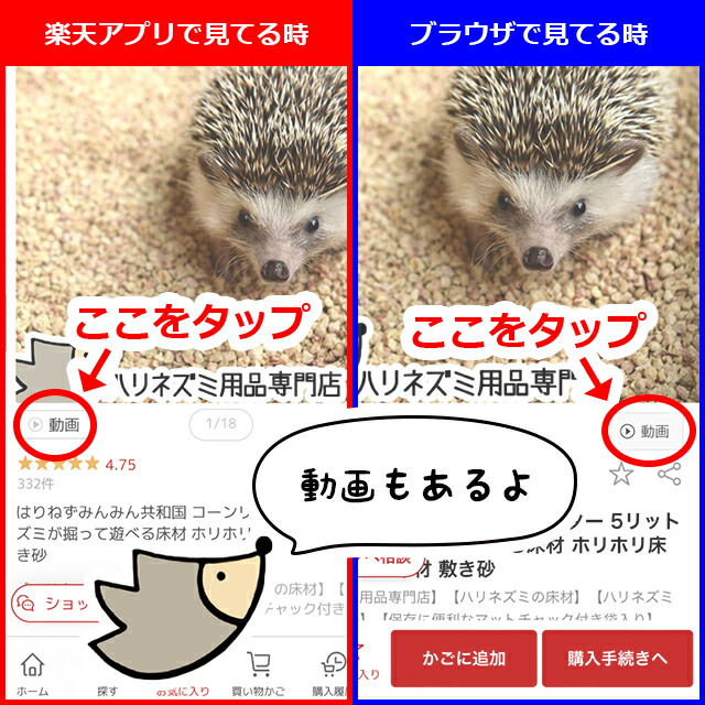 楽天市場】キョーリン ひかりハリネズ 300g ハリネズミ フード エサ 餌