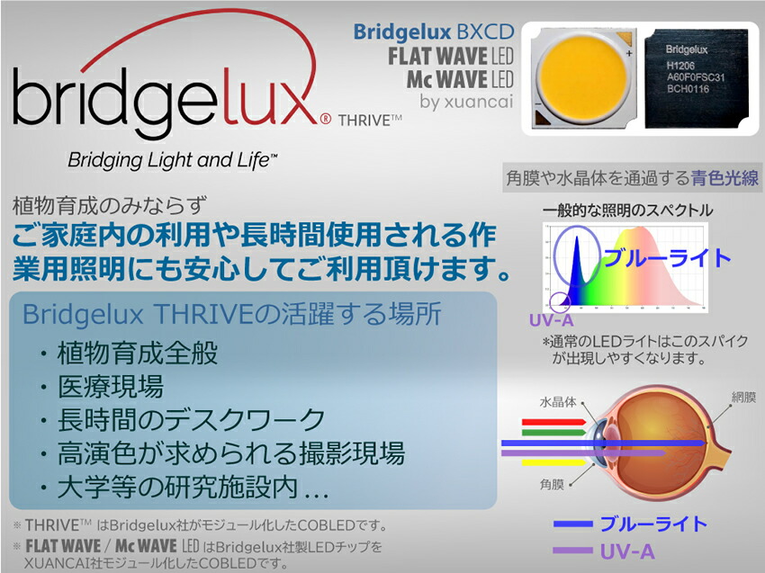 楽天市場】HaruDesign 植物育成ライト HASU38 spec9 4K 暖色系