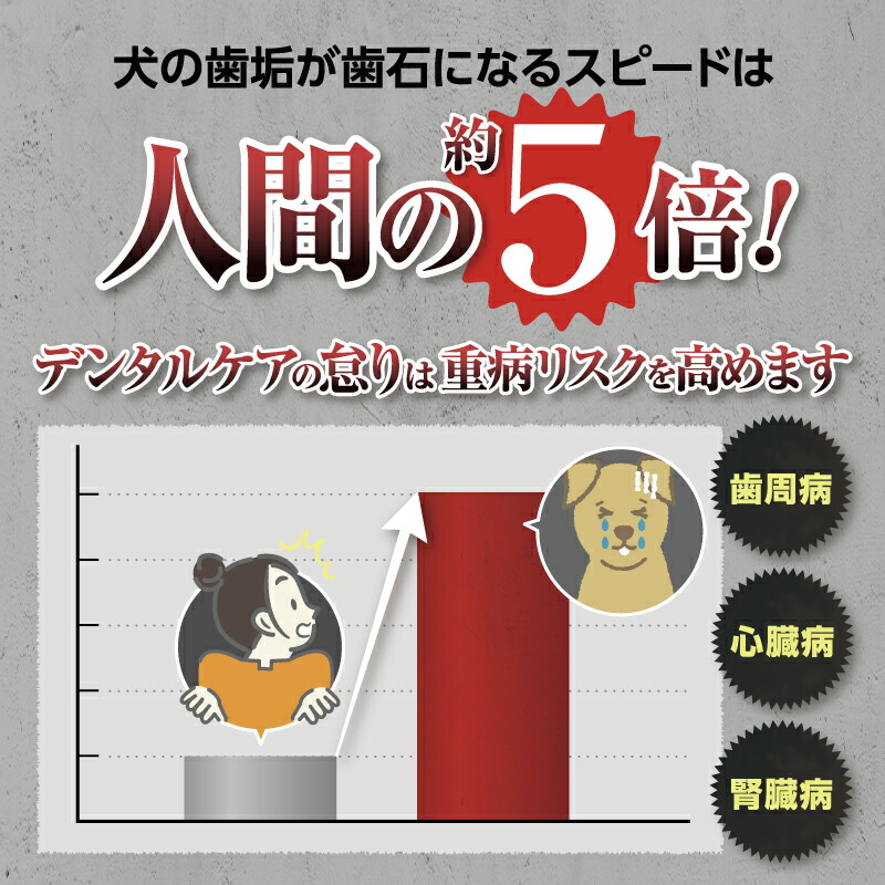 楽天市場】【公式】 CLEAN WAN クリーンワンジェル 犬 歯磨き 歯磨き粉