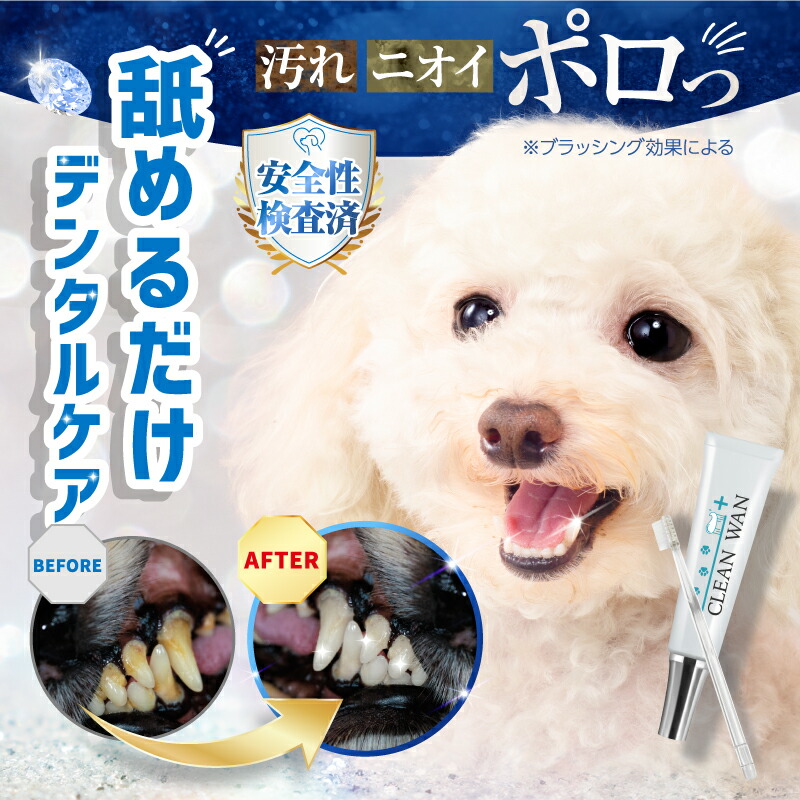 CLEAN WAN クリーンワン 犬用歯磨きジェル 15g 【15％OFF!!10/27(月
