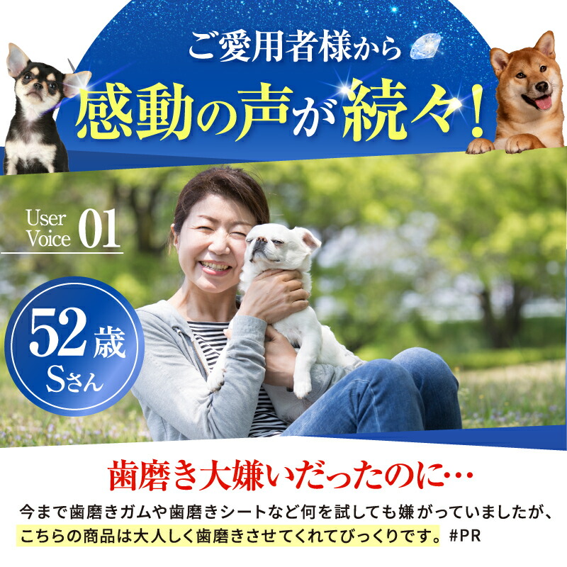 楽天市場】【公式】 CLEAN WAN クリーンワンジェル 犬 歯磨き 歯磨き粉