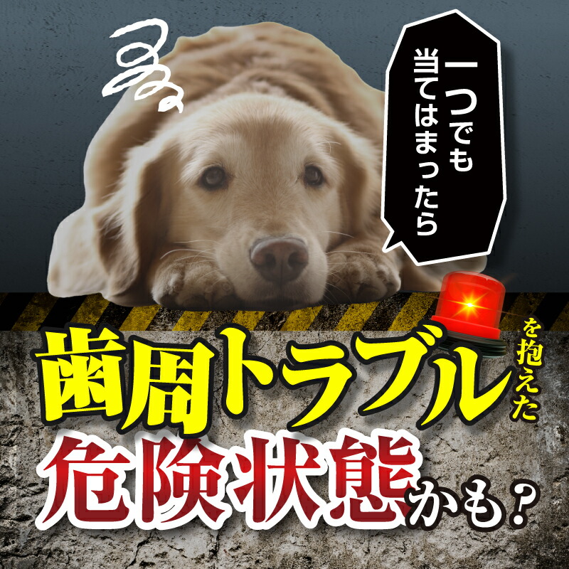 楽天市場】【公式】 CLEAN WAN クリーンワンジェル 犬 歯磨き 歯磨き粉