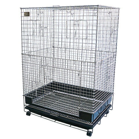 楽天市場】コンフォートチンチラスペシャル STグレード【一度のご注文