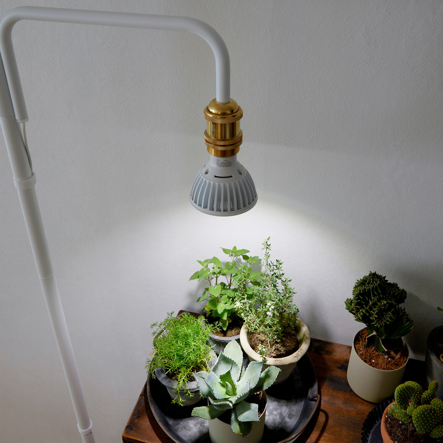 楽天市場】【公式】DRAW A LINE ドローアライン SET ホワイト Light