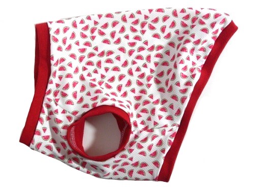 楽天市場】ダックス 服 ミニチュアダックスフンド 服 夏の思い出は