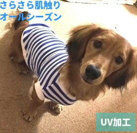 楽天市場】カニンヘンダックス ドッグウェア（適正犬種ダックスフンド