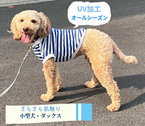 楽天市場】快適 涼感トイプードル 服 チワワ 服 パピー用 ペット服