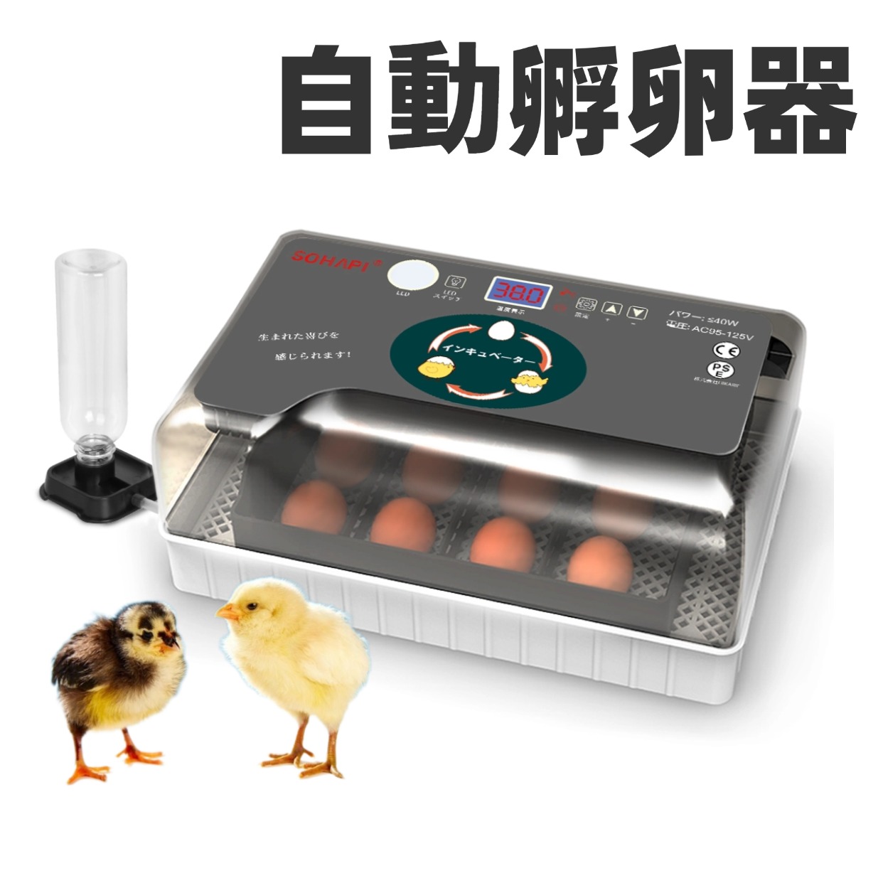 楽天市場】＼今だけ全品5％OFF+P5倍！／【楽天1位】自動孵卵器