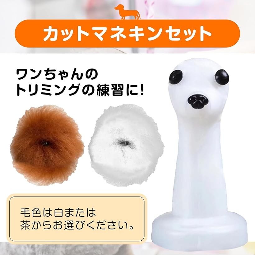 楽天市場】【楽天ランキング1位入賞】トリミング プードル モデル