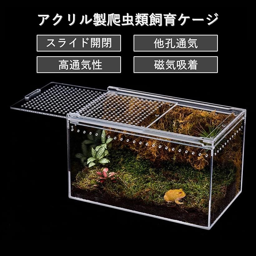 中型スライド扉温室ショーケース(植物用、観葉植物、園芸用品、爬虫類