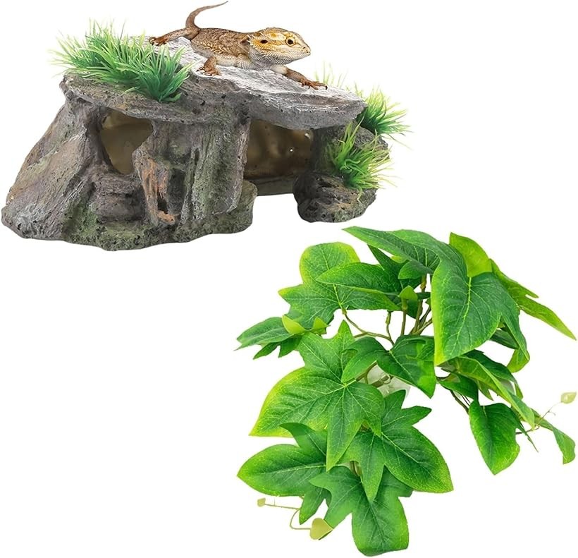 テラリウム空間（イモリ等の両生類の飼育可）