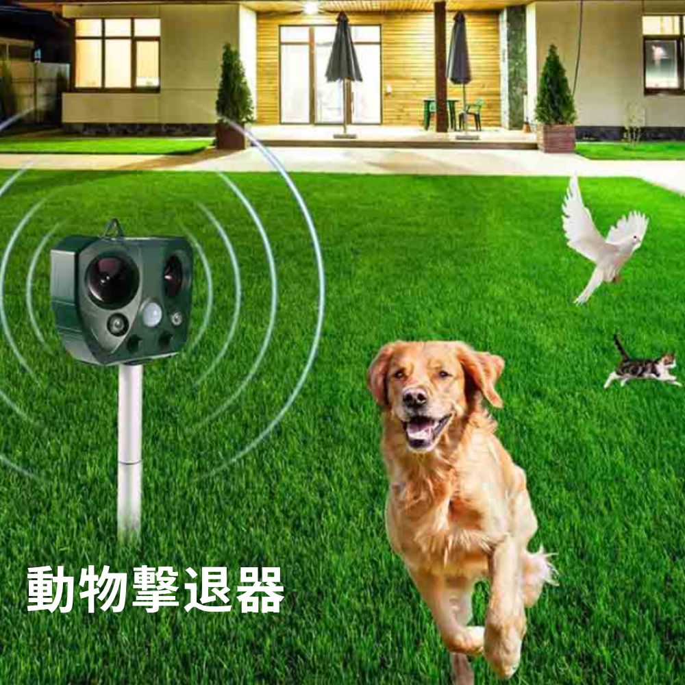 猫よけ 猫よけ 番人くん」の人気商品一覧 | 安い商品を通販サイトから