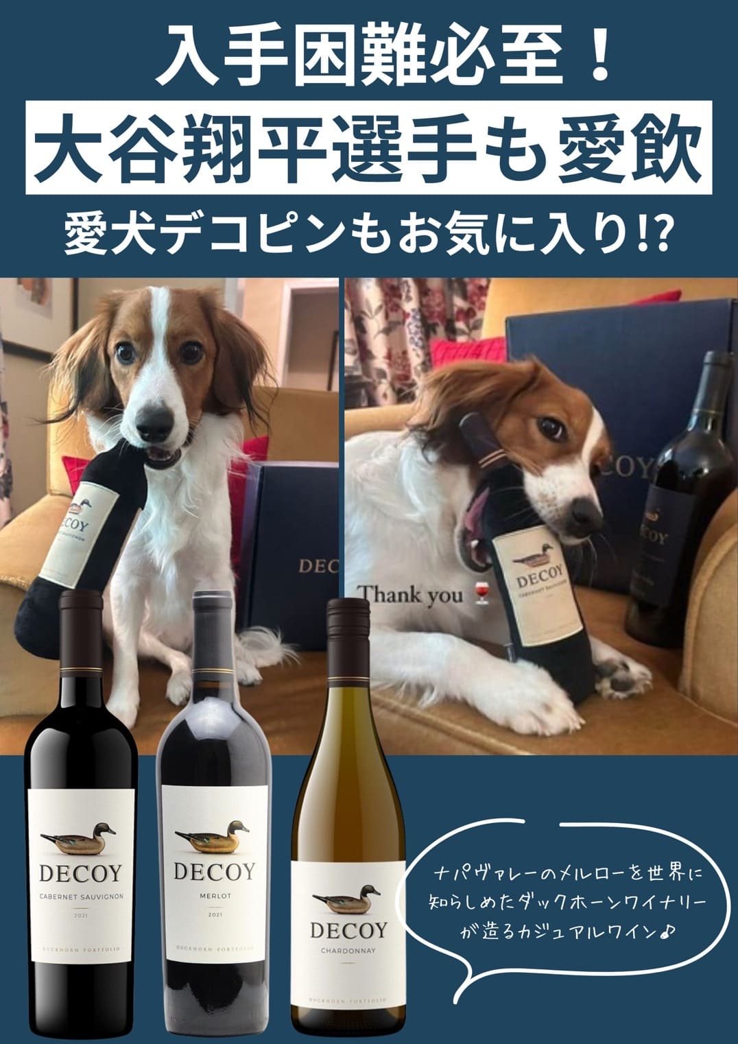 楽天市場】ワイン 白ワイン デコイ シャルドネ 750ml : 池野酒店