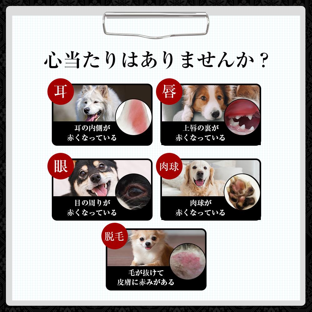 楽天市場】【皮膚・アレルギー】和漢みらいのドッグフード 特別療法食