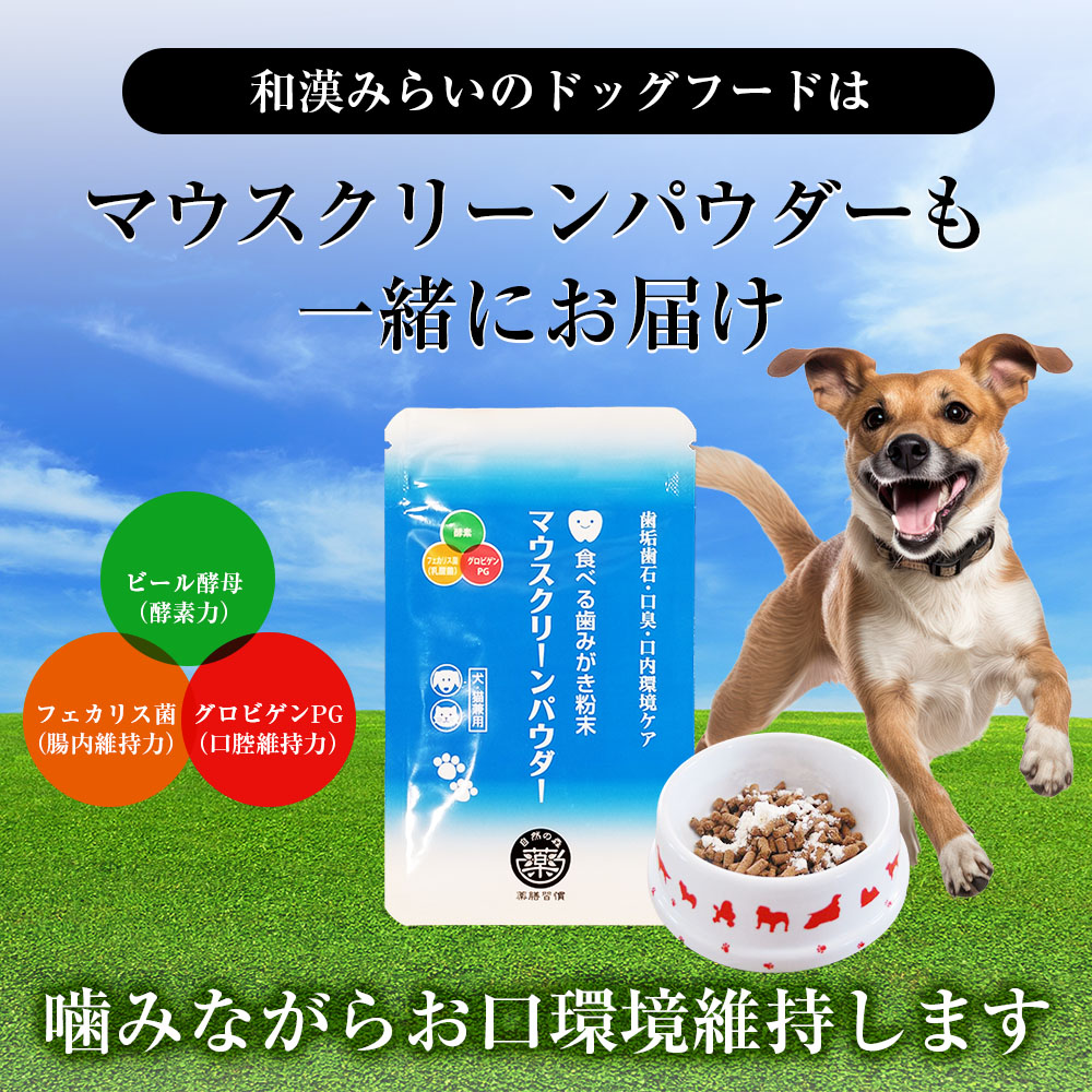 和漢みらいのドックフード肝臓