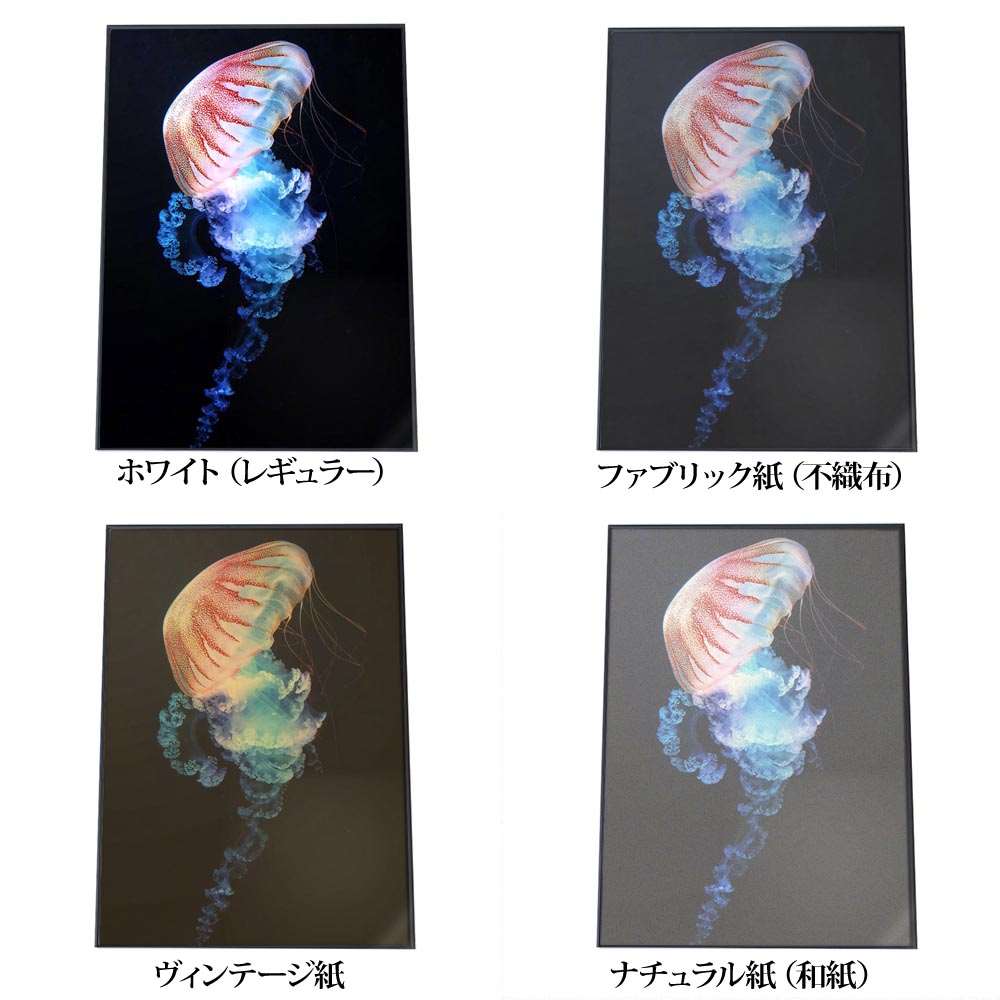 くらげページです♡ 楽天市場】クラゲ くらげ ジェリーフィッシュ