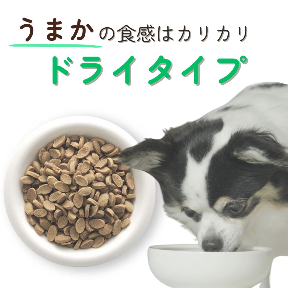 楽天市場】【公式】ドッグフード お試し うまか やわか 170g 国産 総合