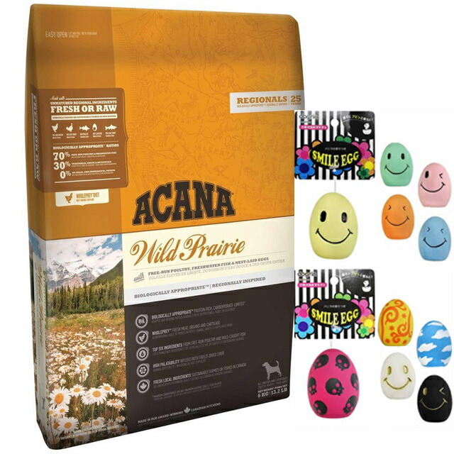 楽天市場】11.4 ワイルドプレーリードッグ アカナの通販