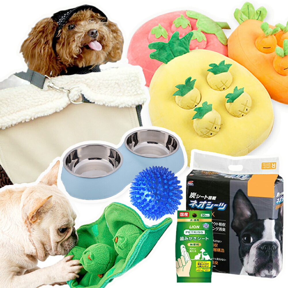 楽天市場】犬 福袋 2026 犬用 おもちゃ 雑貨 ちゅーる シーツ