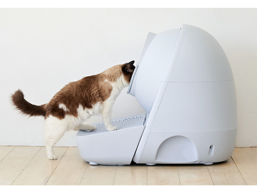 楽天市場】【OFT】CATLINK SCOOPER 専用ステップ(グレー/ホワイト