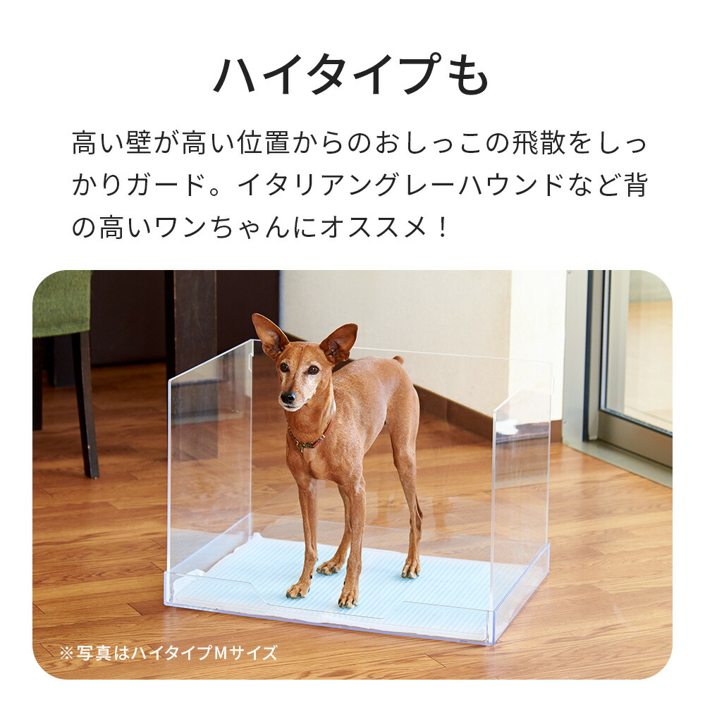 楽天市場】【OFT】 クリアレット2用 飛散ガード(S/M/L) /飛散