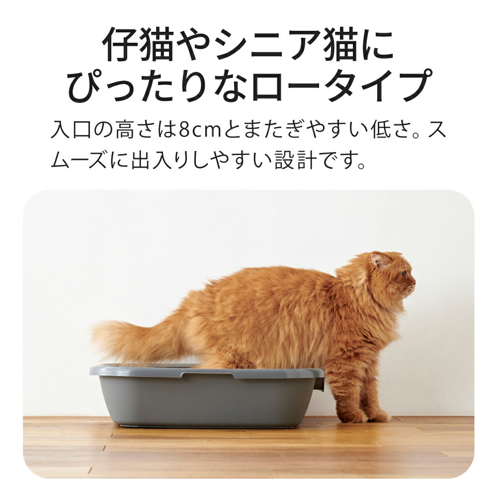 楽天市場】【OFT】 Kitty and Puppy Pan L トイレ 猫 ネコ ねこ 大型