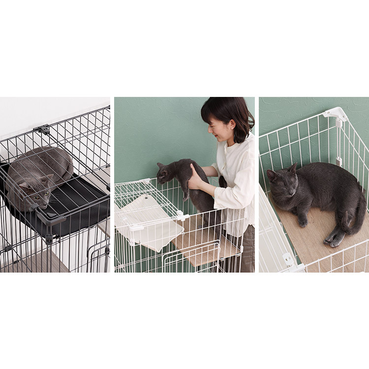 楽天市場】【公式】猫 ケージ コンパクト ミニキャットケージ