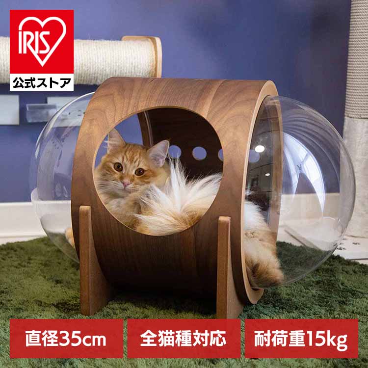 楽天市場】myzoo 宇宙船 alphaの通販