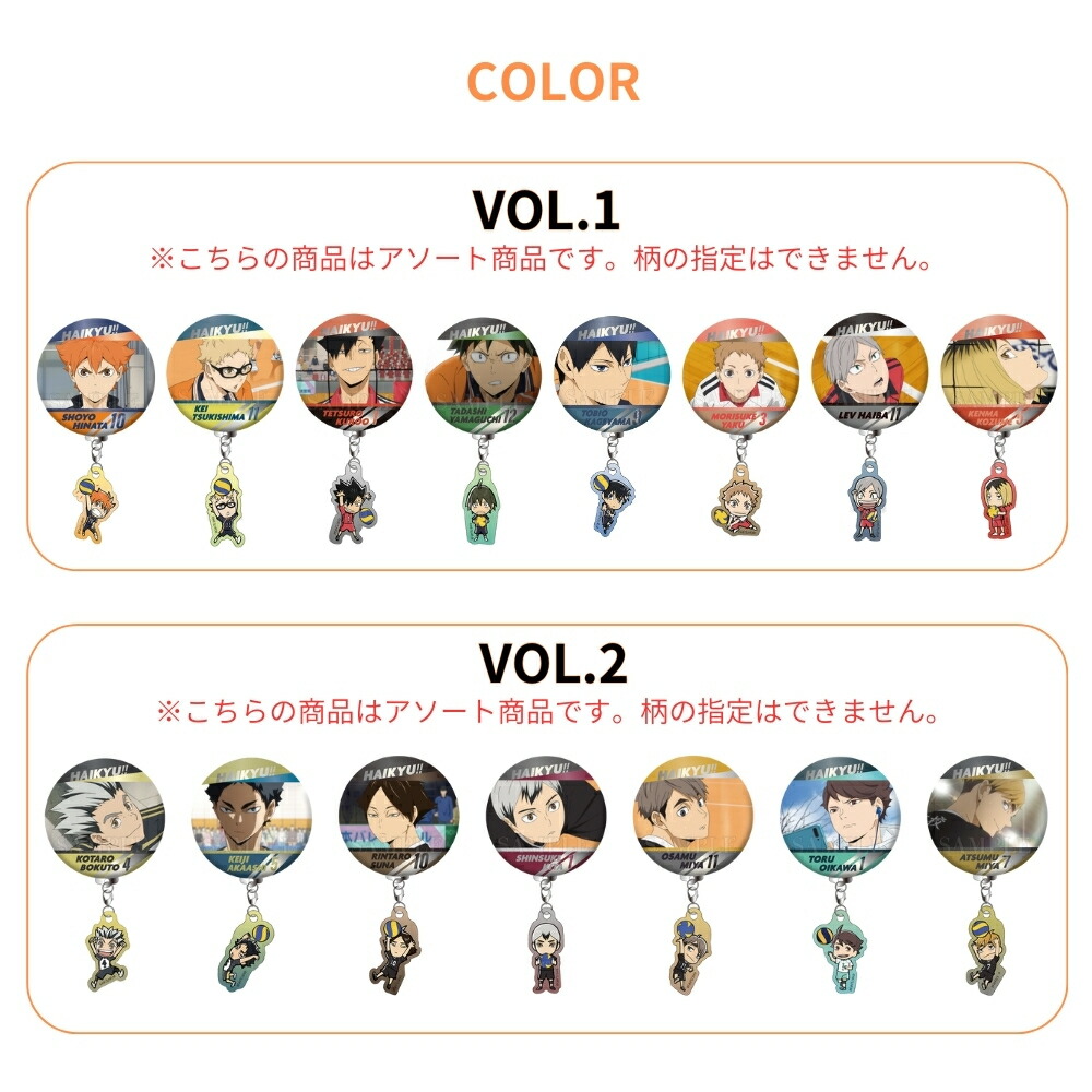 ハイキュー‼︎ ロング缶バッジ収納アルバム 特典バッジ付 グッズ